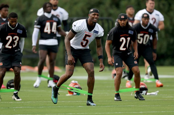 Tee Higgins performs during Cincinnati Bengals Training Camp